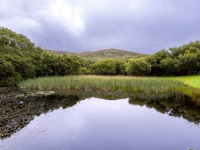 Connemara